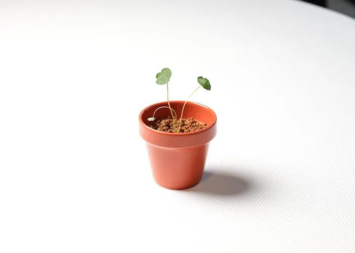 皇家高尔夫豪华酒店