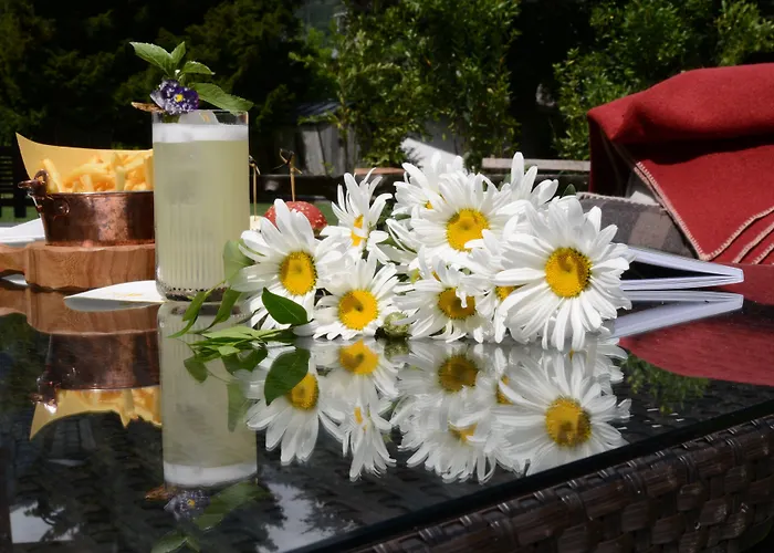 酒店 皇家高尔夫豪华酒店 库马约尔